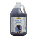 貓犬用清潔美容用品-Cardinal-強力除蚤洗毛水-1gal-貓犬用-14090-皮膚毛髮護理-寵物用品速遞