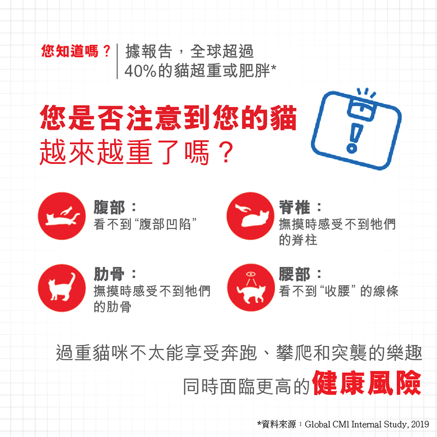 Royal Canin 貓糧 法國皇家貓糧 加護系列 減肥成貓體重控制 LI40 8kg (2524080011) (圖片4)