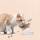 農口尚彦研究所-寵物護頸脊糧食碗-透明單碗-貓犬用日常用品-寵物用品速遞
