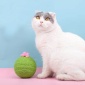 貓咪玩具-劍麻貓抓玩具-仙人掌貓抓球-一個入-貓貓