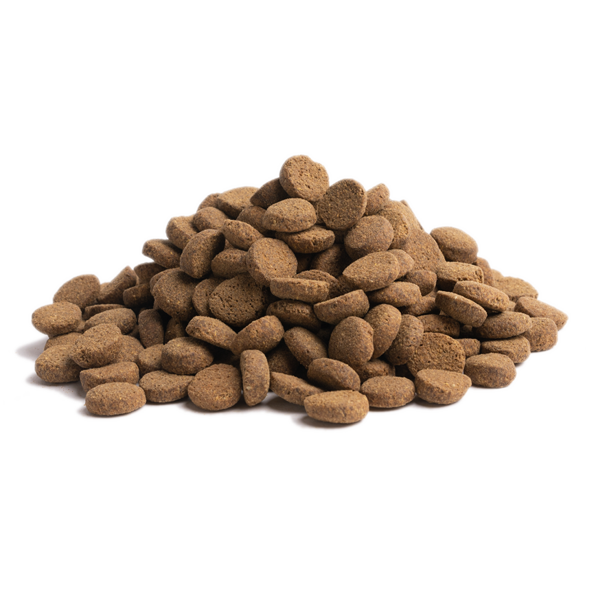 Essential Foods 易膳 狗糧 長青 Older 10kg (大粒) (O-10) (新包裝) (圖片5)