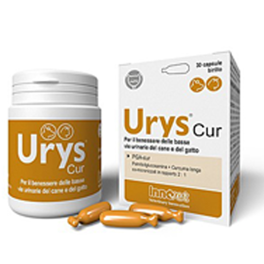貓犬用保健用品 INNOVET Urys-Cur 泌尿配方 30粒