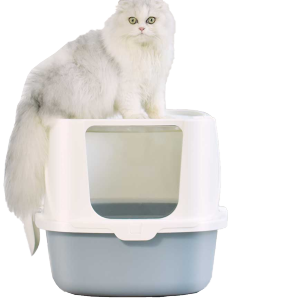貓咪日常用品-肥貓適用-特大全封閉式頂出式防噴濺貓砂盤-顏色隨機-貓砂盤-寵物用品速遞