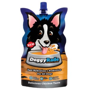 狗狗保健用品-DoggyRade-Isotonic-Drink-營養補水飲料-250ml-犬用-DR250C-腸胃-關節保健-寵物用品速遞