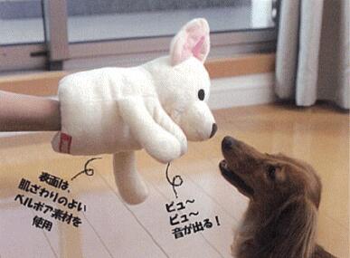 日本Bonbi ILOVEPETS Animal Mitten LoveDog 狗狗手偶玩具 灰黑八哥犬 一個入 (圖片4)