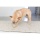 狗狗玩具-日本Petstages-狗狗潔牙玩具-耐咬環-一個-狗狗-寵物用品速遞