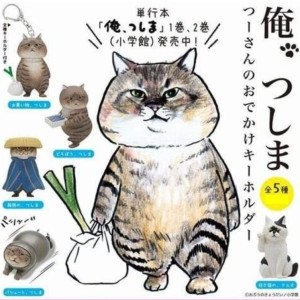 生活用品超級市場-日本直送-公仔擺設-胖貓つーさん去散心-1套5隻-貓咪精品-寵物用品速遞