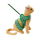 Petio-田園風柔軟胸帶牽引繩-綠色-M-貓用-91601893-其他-寵物用品速遞
