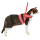 Petio-田園風柔軟胸帶牽引繩-紅色-S-貓用-91601894-其他-寵物用品速遞