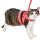 Petio-田園風柔軟胸帶牽引繩-紅色-M-貓用-91601895-其他-寵物用品速遞