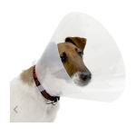 Buster Clic Collar 透明頸圈 5cm (273390) 狗狗日常用品 其他 寵物用品速遞