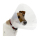 狗狗日常用品-Buster-Clic-Collar-透明頸圈-7_5cm-273480-其他-寵物用品速遞