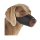 狗狗日常用品-Buster-尼龍料犬口罩-約瑟爹利-Tiny-Dog-Yorkshire-Terrier-279395-其他-寵物用品速遞