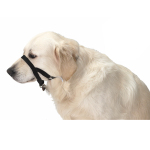 Buster 口罩 約瑟爹利 貴婦狗 獵腸狗 Yorkshire Terrier Toy Poodle Dachshund (274795) 狗狗日常用品 其他 寵物用品速遞