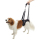 狗帶-狗胸帶-狗雨衣-KRUUSE-犬用輔助步行掛帶-後腿-Rehab-Lifting-Harness-for-Hind-Legs-XS-161585-狗狗-寵物用品速遞