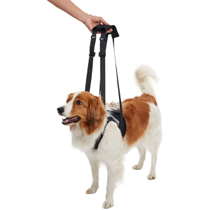 狗帶-狗胸帶-狗雨衣-KRUUSE-犬用輔助步行掛帶-前腿-Rehab-Lifting-Harness-for-Front-Legs-XS-161577-狗狗-寵物用品速遞