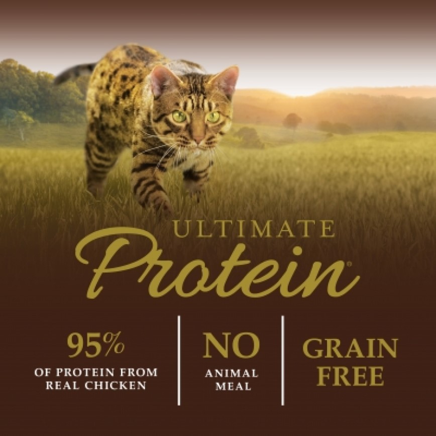 Instinct 貓糧 本能 貓糧 無穀物頂級蛋白質系列 雞肉配方 4lb (658511) (圖片4)
