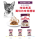 Royal-Canin-Wet-Cat-Food-Sensory-Taste-Adult-Cat-Gravy-85g-pet-shop