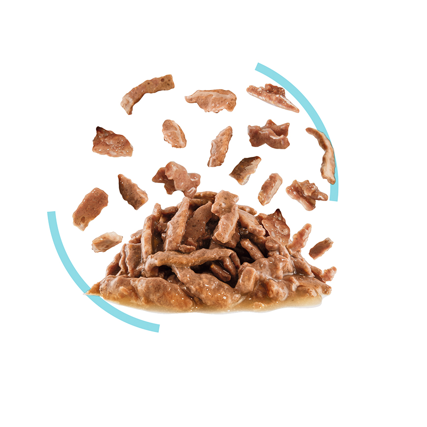 Royal Canin 法國皇家 貓濕糧 貓感系列 口感營養主食濕糧 (肉汁) FEEL 85g (3167100) (圖片3)