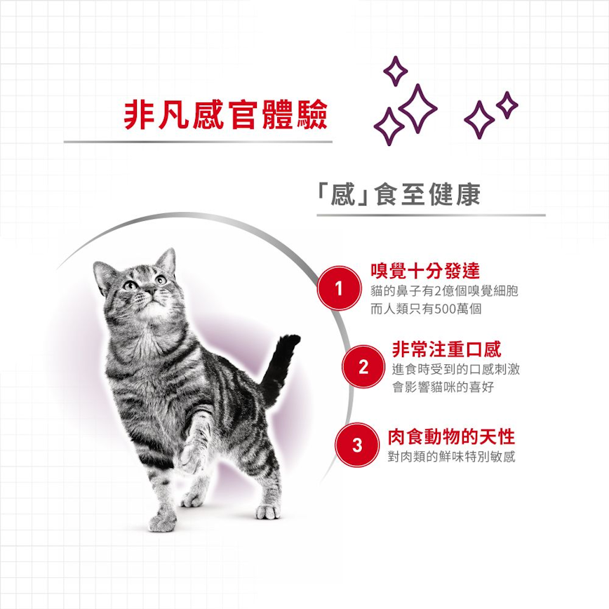 Royal Canin 法國皇家 貓濕糧 貓感系列 口感營養主食濕糧 (肉汁) FEEL 85g (3167100) (圖片5)