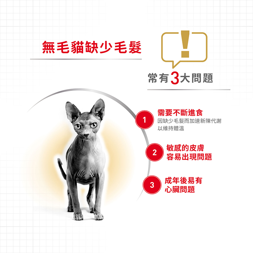 Royal Canin 貓糧 法國皇家貓糧 純種系列 無毛貓成貓專屬配方 2kg (2351000) (圖片3)