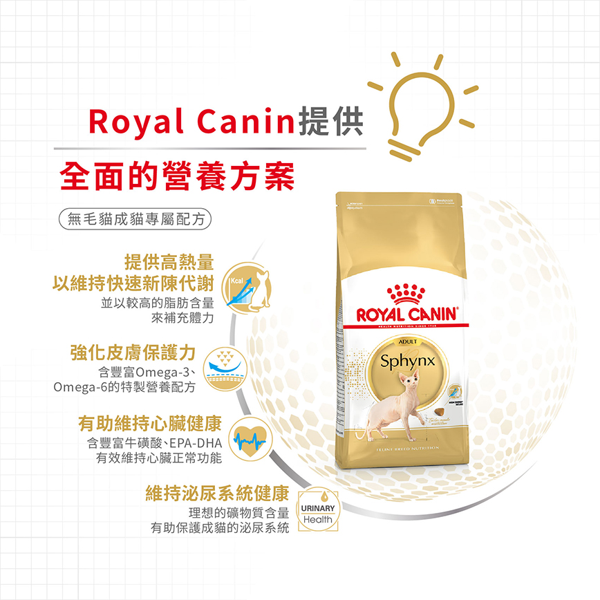 Royal Canin 貓糧 法國皇家貓糧 純種系列 無毛貓成貓專屬配方 2kg (2351000) (圖片6)