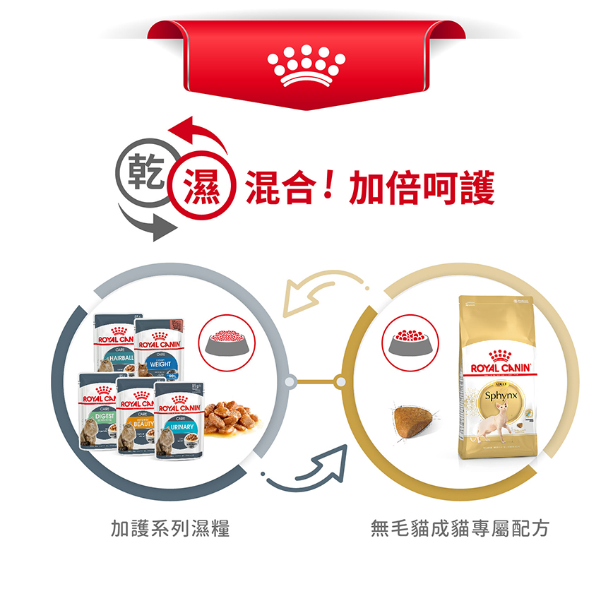 Royal Canin 貓糧 法國皇家貓糧 純種系列 無毛貓成貓專屬配方 2kg (2351000) (圖片7)