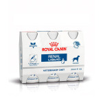 Royal Canin法國皇家 獸醫處方 關鍵賦活系列 成犬腎臟處方營養液 200ml x 3支 (3078800) 狗狗保健用品 腎臟保健 防尿石 寵物用品速遞