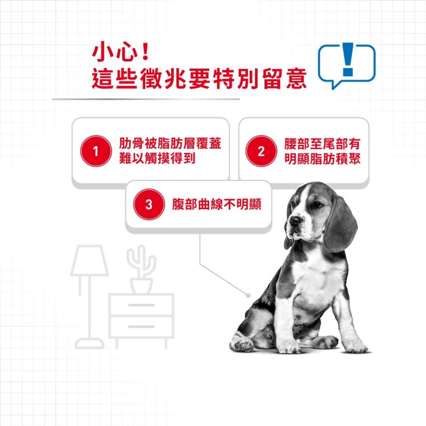 Royal Canin 狗糧 法國皇家狗糧 加護系列 中型犬體重控制加護配方 中型犬 體重控制加護配方 12kg (3053300) (圖片4)