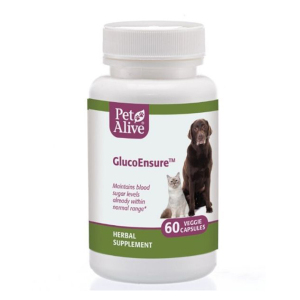 PetAlive-GlucoEnsure™-針對糖尿病-60粒-PGLC001-貓犬用保健用品-寵物用品速遞
