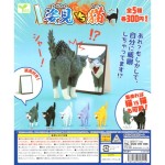 生活用品超級市場-日本直送-貓公仔擺設-被自己樣貌嚇到的貓-1套5隻-貓咪精品-寵物用品速遞