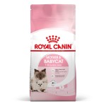 Royal Canin法國皇家 貓糧 FHN 離乳貓及母貓營養配方 BA34 4kg (2544040012) 貓糧 貓乾糧 Royal Canin 法國皇家 寵物用品速遞