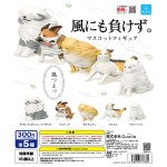 日本直送 公仔擺設 我是不會輸給風的動物 1套5隻 (TBS) 生活用品超級市場 貓咪精品