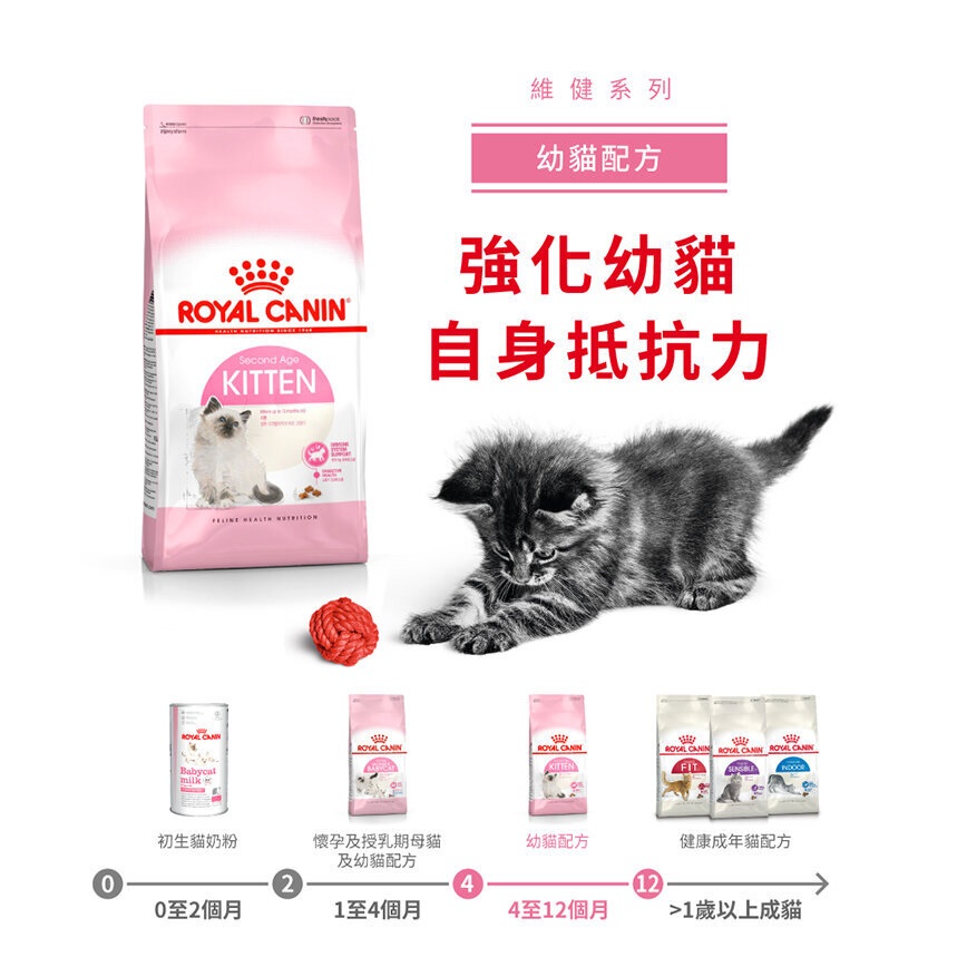 Royal Canin 貓糧 法國皇家貓糧 Kitten 健康營養系列 FHN 幼貓營養配方 K36 4kg (2522040012) (圖片3)
