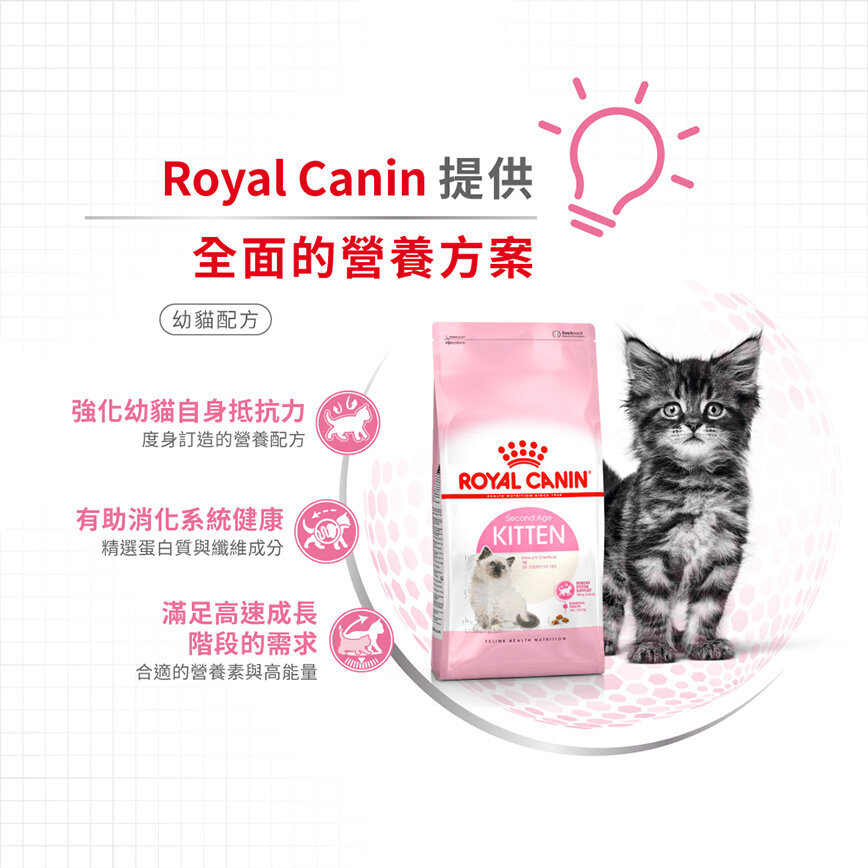 Royal Canin 貓糧 法國皇家貓糧 Kitten 健康營養系列 FHN 幼貓營養配方 K36 4kg (2522040012) (圖片4)