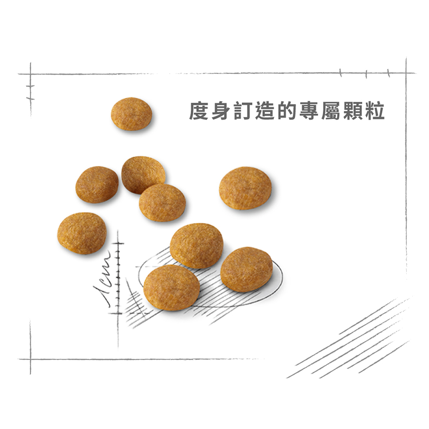 Royal Canin 貓糧 法國皇家貓糧 成貓濃郁香味挑嘴配方 EXA 2kg (2300500) (圖片6)