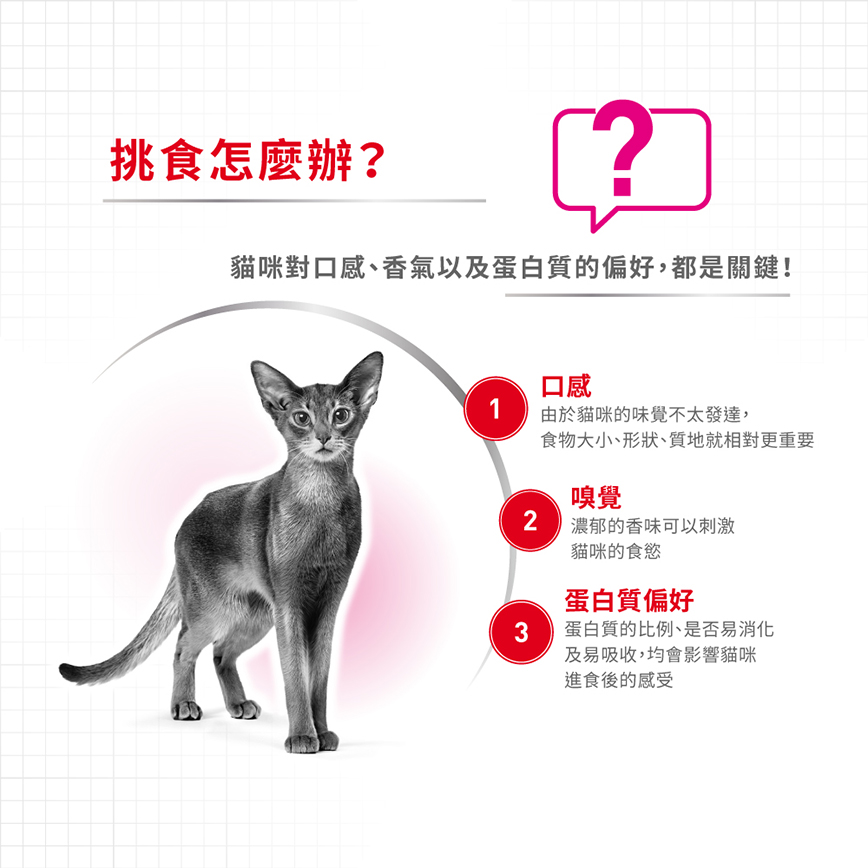 Royal Canin 貓糧 法國皇家貓糧 超級營養配方 EXP 2kg (2301500) (圖片4)