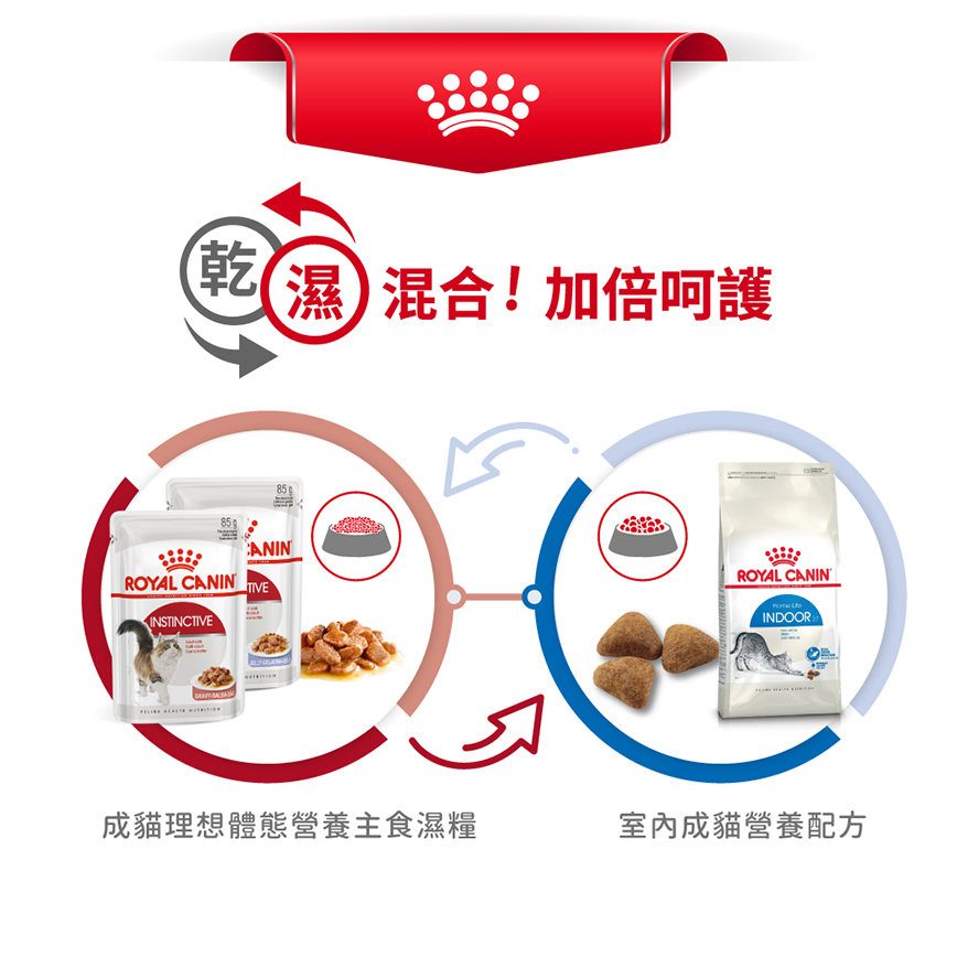Royal Canin 貓糧 法國皇家貓糧 健康營養系列 室內成貓營養配方 IN27 2kg (2291000) (圖片7)