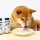 汪喵星球-零乳糖牛乳-250ml-貓犬用-SN597-貓犬用保健用品-寵物用品速遞
