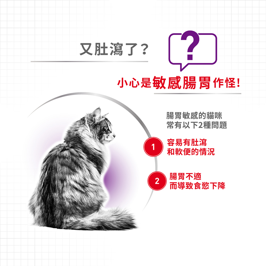Royal Canin Dry Cat Food - Regular Sensible S33 10kg (2521100011) (圖片4)