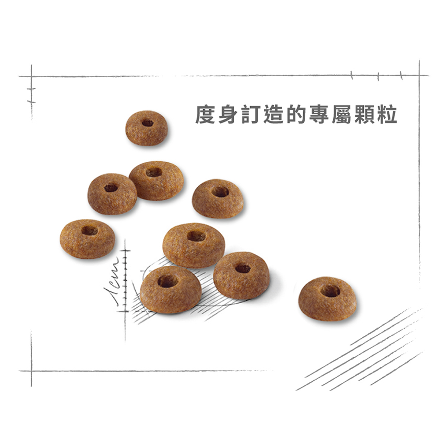 Royal Canin 貓糧 法國皇家貓糧 成貓全效健康營養配方 FIT32 15kg (2520150011) (圖片6)