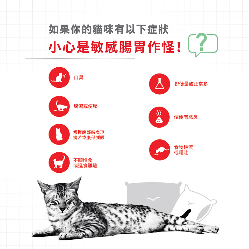 Royal Canin 貓糧 法國皇家貓糧 加護系列 成貓消化道加護配方 DGC38 2kg (3133400) (新舊包裝隨機發貨) (圖片4)