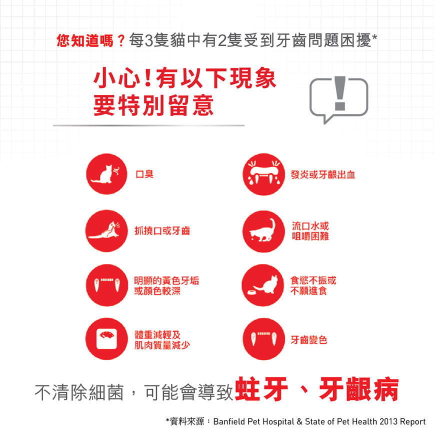 Royal Canin 貓糧 法國皇家貓糧 去牙石成貓高效潔齒加護配方 OS30 8kg (2532080011) (圖片4)