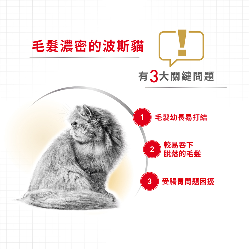 Royal Canin 貓糧 法國皇家貓糧 純種系列 波斯成貓專屬配方 PS30 4kg (2552040011) (圖片4)