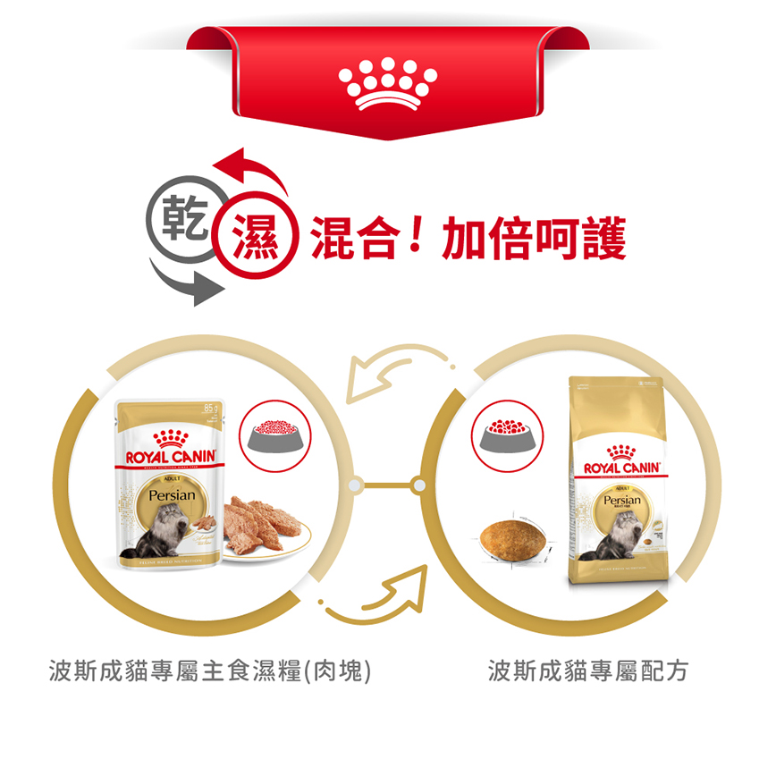 Royal Canin 貓糧 法國皇家貓糧 純種系列 波斯成貓專屬配方 PS30 4kg (2552040011) (圖片6)