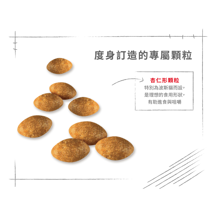 Royal Canin 貓糧 法國皇家貓糧 純種系列 波斯成貓專屬配方 PS30 4kg (2552040011) (圖片7)