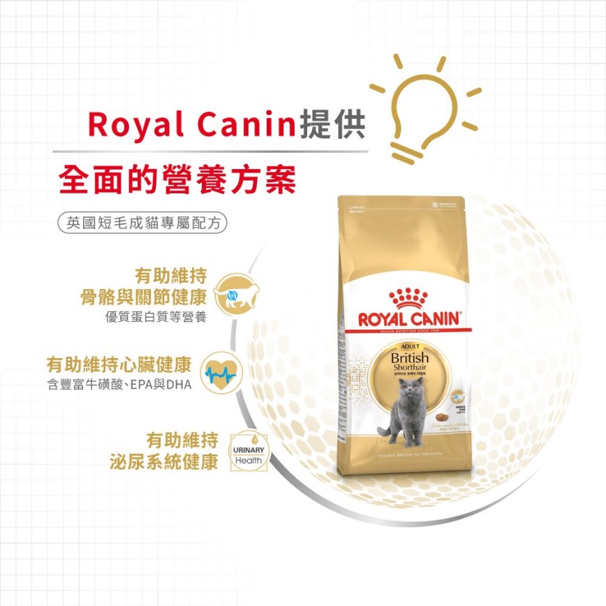 Royal Canin 貓糧 法國皇家貓糧 純種系列 英國短毛成貓專屬配方 BSH 10kg (2557100010) (圖片5)