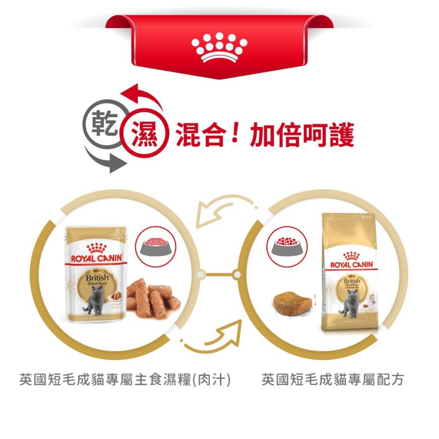 Royal Canin 貓糧 法國皇家貓糧 純種系列 英國短毛成貓專屬配方 BSH 10kg (2557100010) (圖片7)