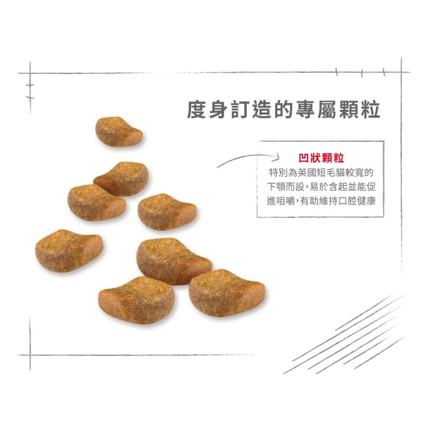 Royal Canin 貓糧 法國皇家貓糧 純種系列 英國短毛成貓專屬配方 BSH 4kg (2557040010) (圖片6)