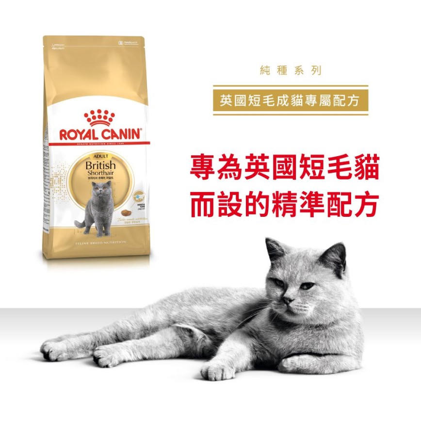 Royal Canin Dry Cat Food - Adult British Shorthair BSH 2kg (2557020010) (圖片3)